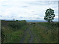 Sandy Flat Lane (footpath)