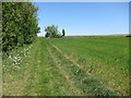 Footpath from Hildersham