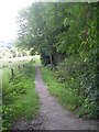 Footpath - Otley Road