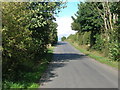 SK5495 : Minor road towards Old Edlington by JThomas