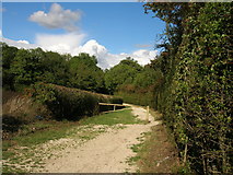 SK5497 : Track to Edlington Wood by JThomas