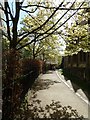 Path from Merton Street to Christ Church