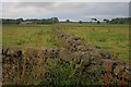 SE9896 : Wall Junction near Linglands Farm by Mick Garratt