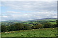 Field with sheep at Kilkiffeth