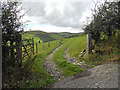 Field gateway at Penybryn