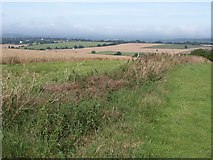 SU0355 : Field boundary, Urchfont Hill by Derek Harper