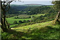 Hillside overlooking the Gwaun Valley