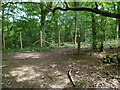 Path and bridleway junction in Firfield Rough