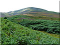 NT2062 : Carnethy Hill (573 m) from Logan Burn by Anthony O'Neil
