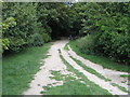 Footpath from Coombe Rise carpark