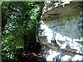 SK5490 : Limestone Outcrop near Roche Abbey by Jonathan Clitheroe