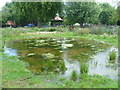 Pond in the Nature Conservation Area, Myatts Fields Park