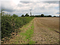 Field boundary north of Mill Lane, Briningham