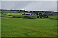 Fields below Shaw Gate