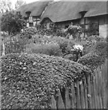 SP1854 : Anne Hathaway's Cottage, Shottery by nick macneill