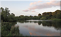 TM2237 : Reservoir near Shotley Common by Roger Jones