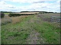 SE3935 : Farm track to Upper Barnbow Farm by Christine Johnstone