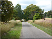 SK6275 : Clumber Park by Richard Croft