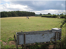 SP2279 : Pasture at Marsh Farm  by Robin Stott