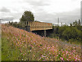 Railway Bridge, Oliver Fold