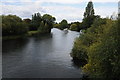 The Thames at Staines