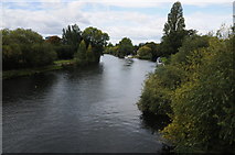 TQ0371 : The Thames at Staines by Philip Halling