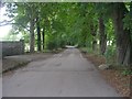 Cliffe Drive - viewed from Rawdon Drive