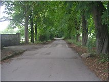 SE2039 : Cliffe Drive - viewed from Rawdon Drive by Betty Longbottom