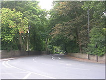 SE2039 : Micklefield Lane - viewed from Micklefield Road by Betty Longbottom