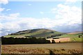 Braestairie Barley Field