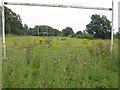 Disused rugby pitch, Roundhay