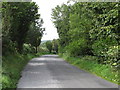 The Clarkill Road descending through woodland towards the Leitrim bridges