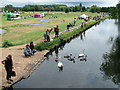 Lark in the Park, Mildenhall