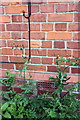 Benchmark on chimney breast of #1 Junction Road