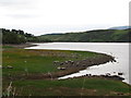 The seasonally exposed flats on the shores of Lough Island Reavy