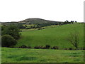 View across Drumlin land in the direction of Tullynasoo Mountain