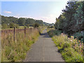 SD6808 : Path Alongside Middle Brook by David Dixon