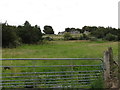 Old farmstead above the Magheramayo Road