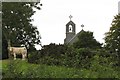 A cow and the bell cote of St Patrick