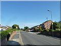 Lamppost in Fareham Park Road