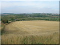 Farmland off Bole Hill