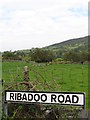 Farmland at the southern end of Ribadoo Road