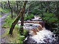 SD9728 : Weir above the site of Lower Lumb Mill, Colden Clough by Phil Champion