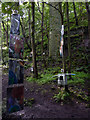 SD9728 : Sculpture in Colden Clough  by Phil Champion