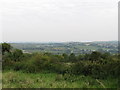 View eastwards towards Ballylough from the Old Road