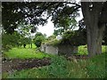 Ruined cottage, Drumcaw