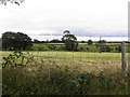 Ballywillwill Townland