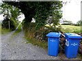 Ulster way, Ballywillwill