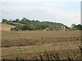 SK5093 : Farmland off Hellaby Lane by JThomas
