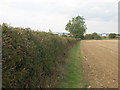 Footpath towards the M18